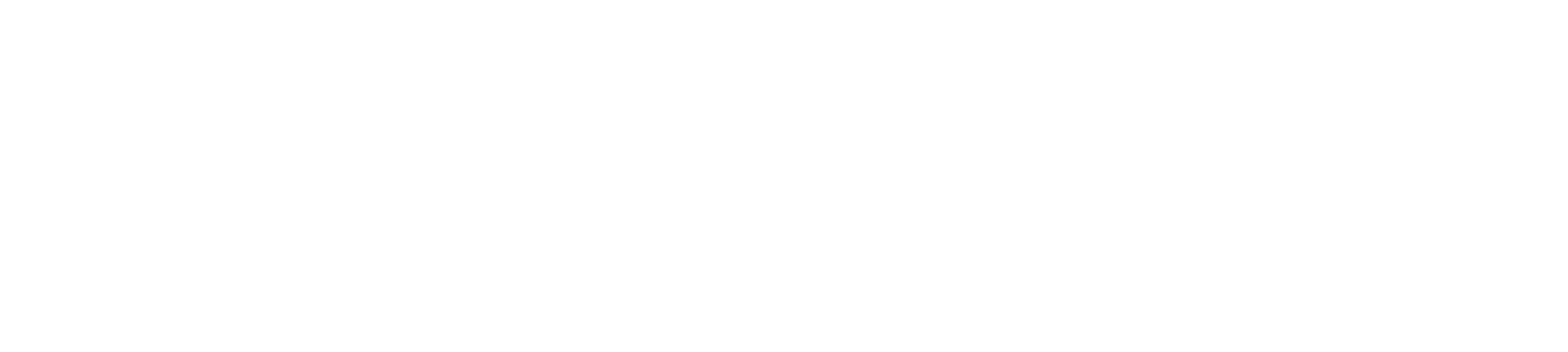 DiverDream — fundação e infraestrutura de conhecimento sobre neurodivergência